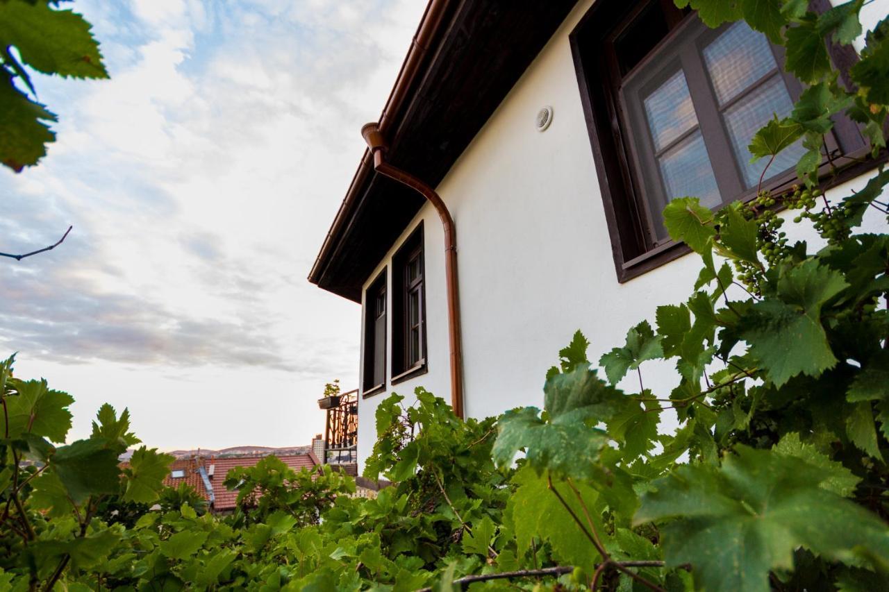 Apartment Zdravets, In The Heart Of The Old City Veliko Turnovo Bagian luar foto
